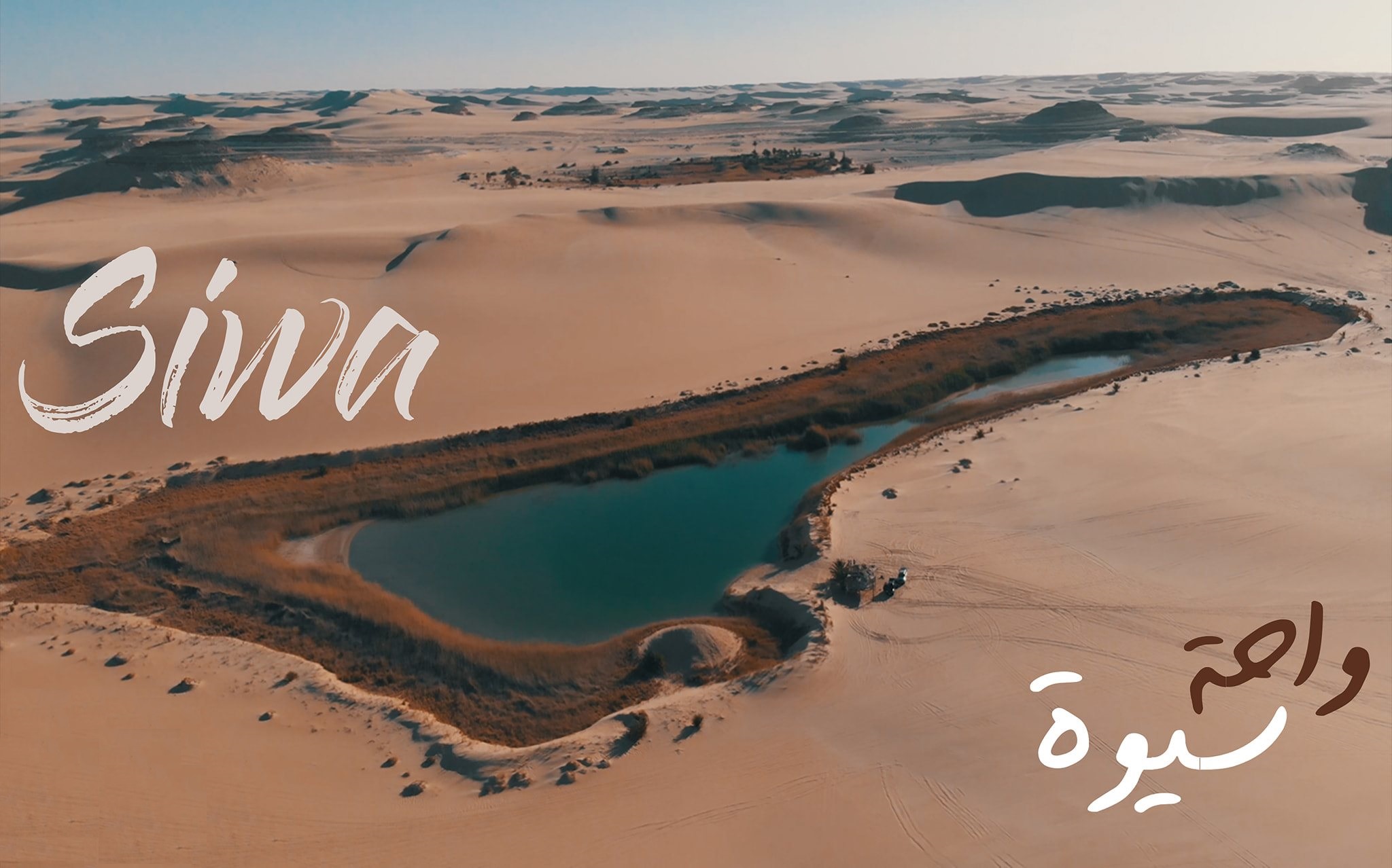 Siwa: An oasis in the Sahara