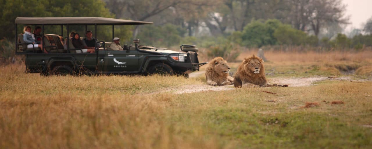 Tanzania: A Safari adventure waiting to be explored