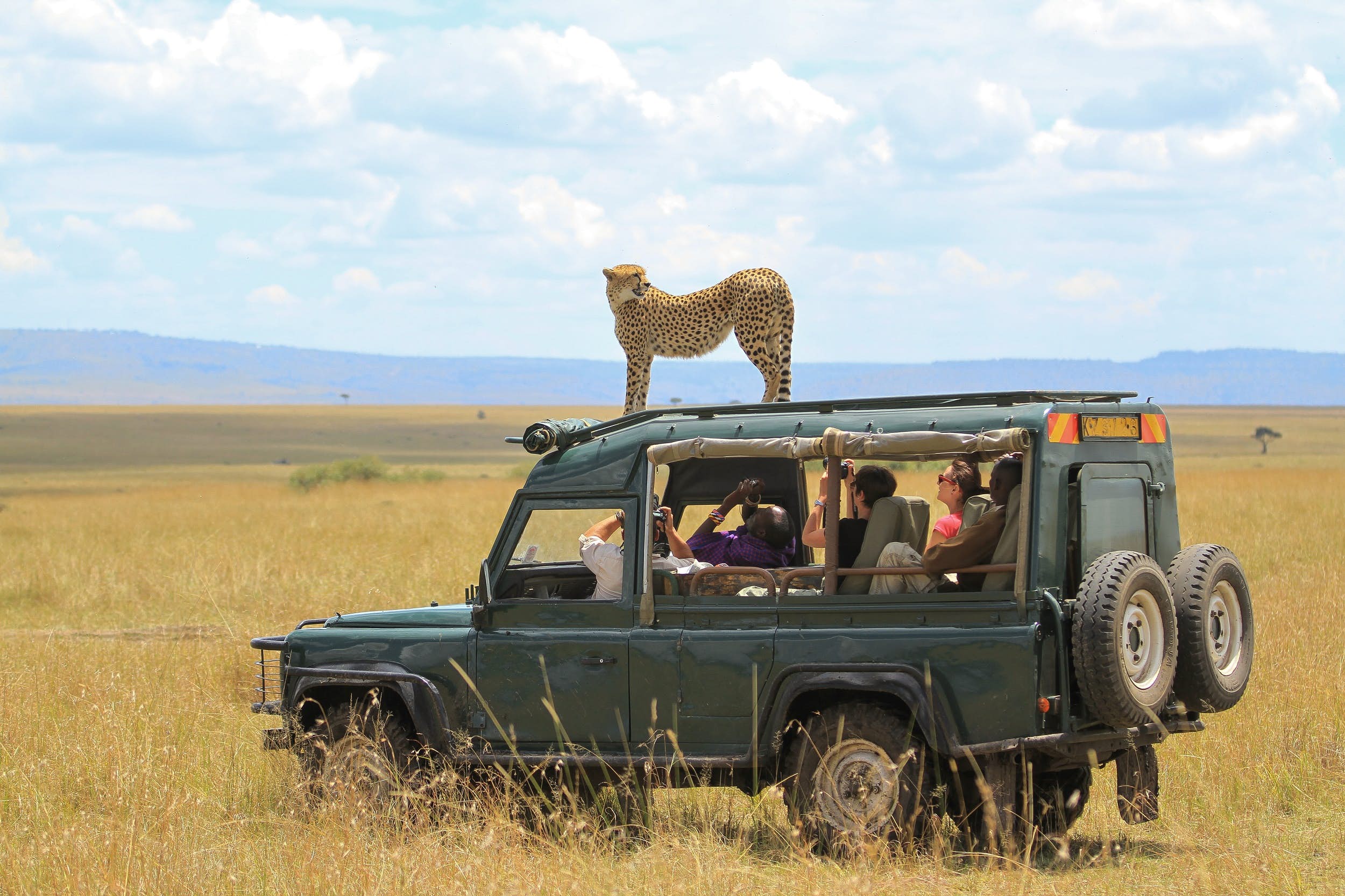What to Know Before Booking an African Safari Trip