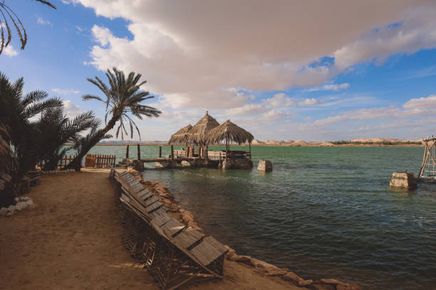 How to have the best time at the Egypt Siwa Oasis Tour