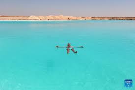 5 Amazing Things to do in Siwa Oasis