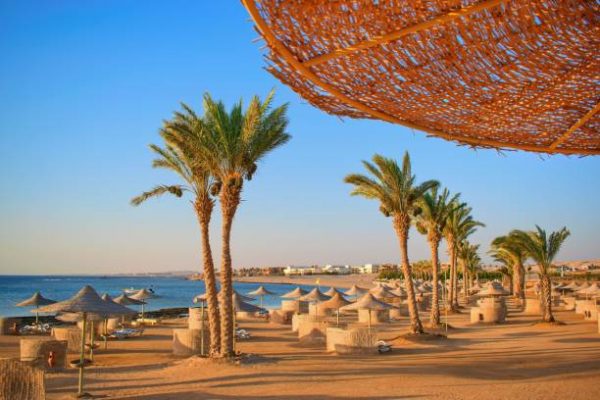 Idylic beach with palms and sun umbrelas, Red Sea, Egypt