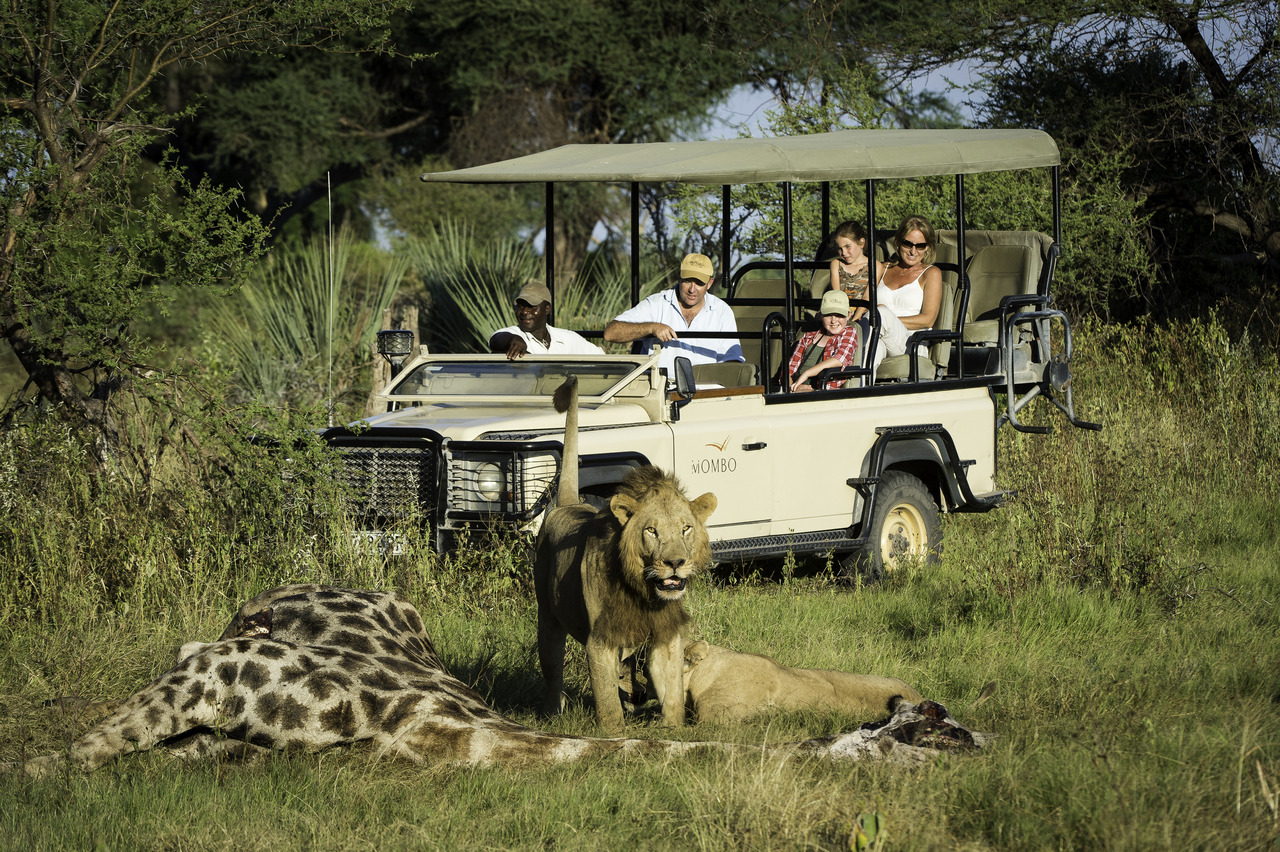 Kenya Beyond Wildlife Safari! Top 7 Activities You Can Enjoy On Your Next Vacation.
