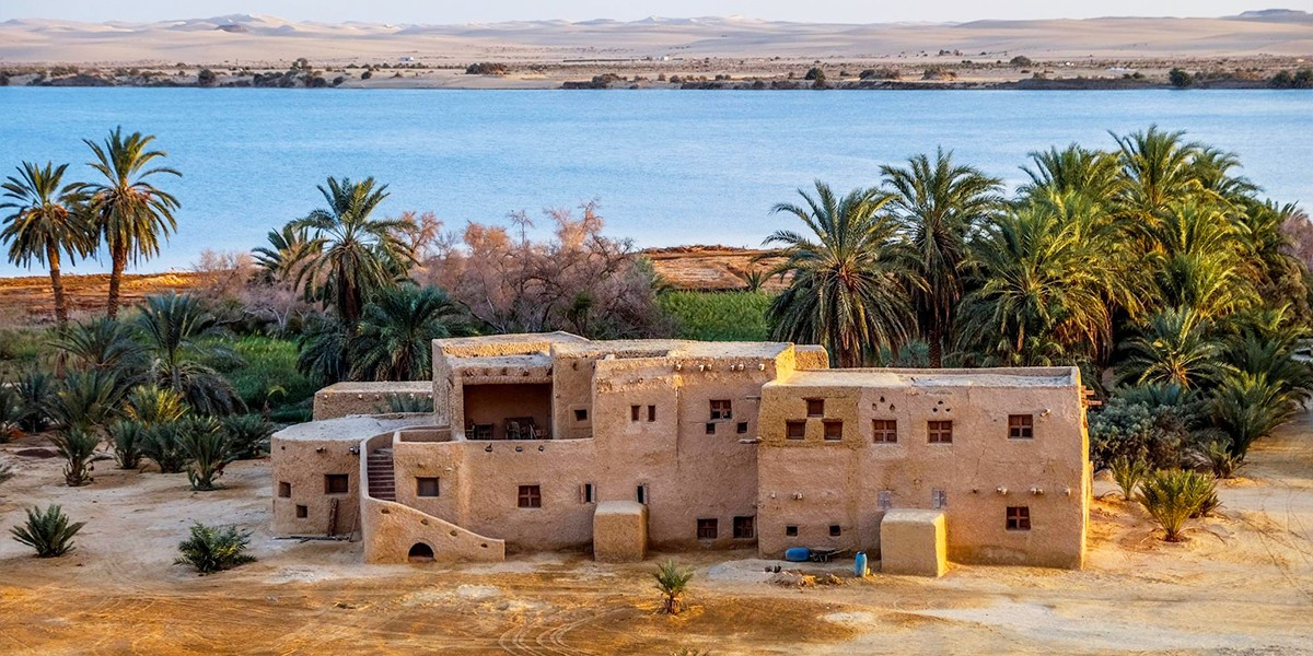 Explore the Hidden Treasures of Egypt: Farafra Oasis and Bahariya Oasis