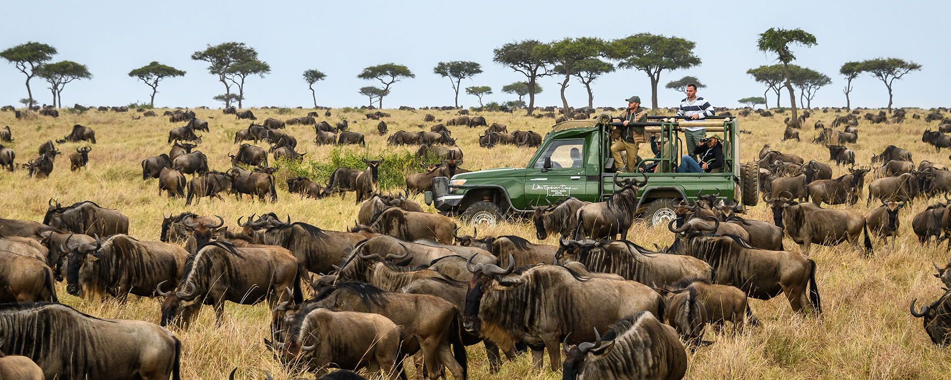 The Serengeti Wildebeest Migration in Tanzania
