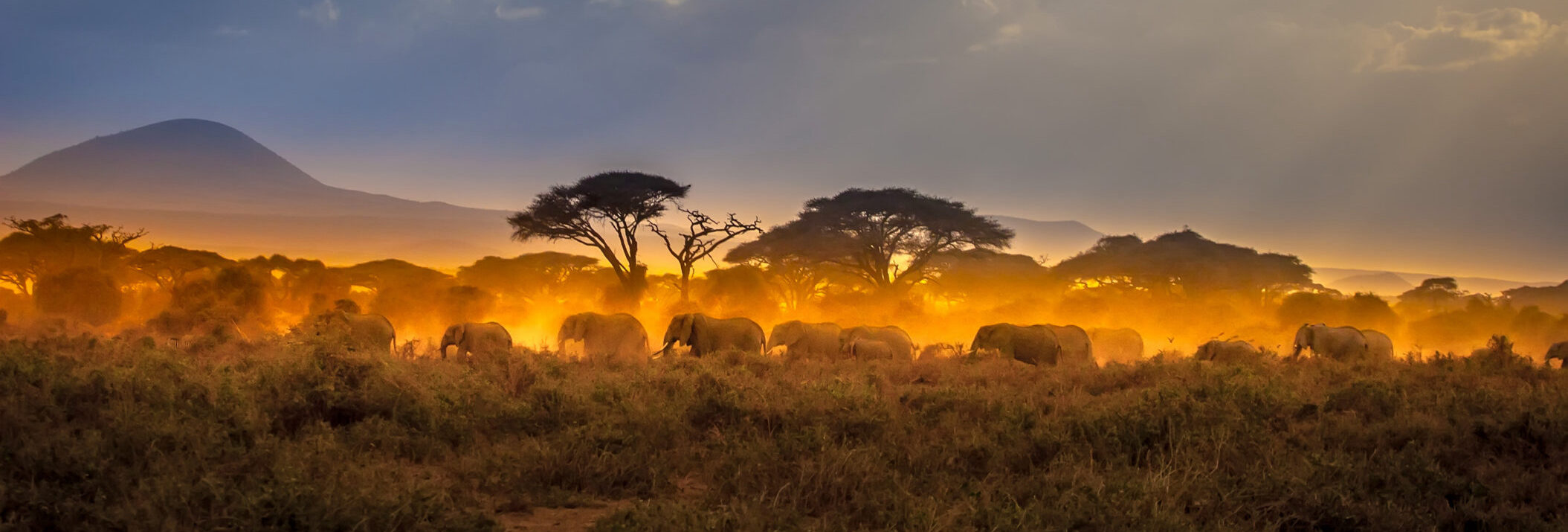 Essential Pre-Travel Tips for Kenya Explorers with Yup Africano